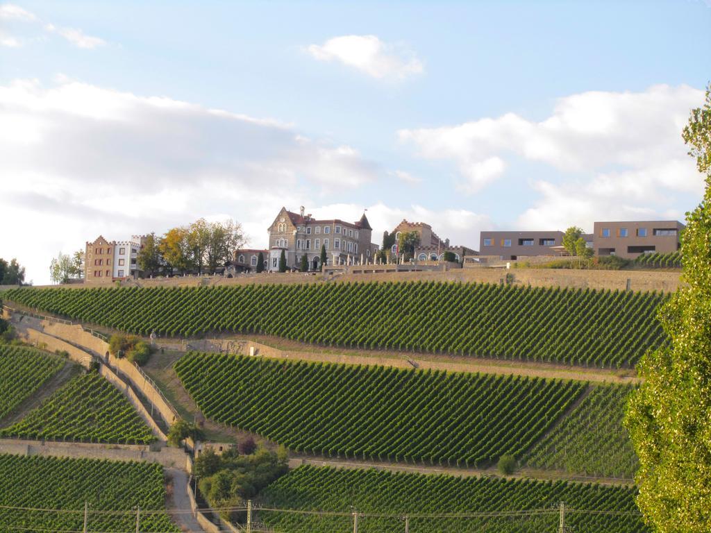 Schlosshotel Steinburg Wurzburg Exterior photo